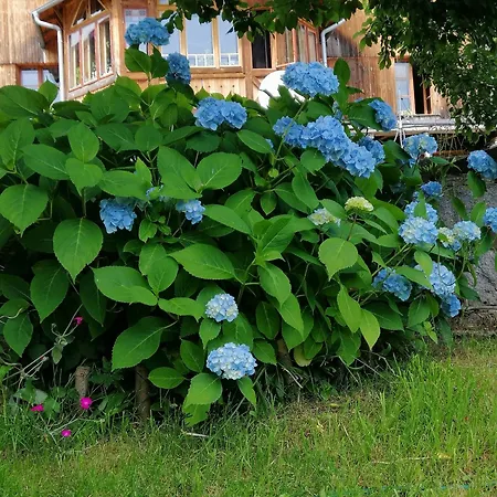 ベッド・アンド・ブレックファスト Nostalgia