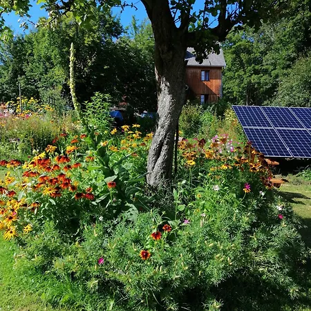 ベッド・アンド・ブレックファスト Nostalgia シクラルスカ・ポレンバ