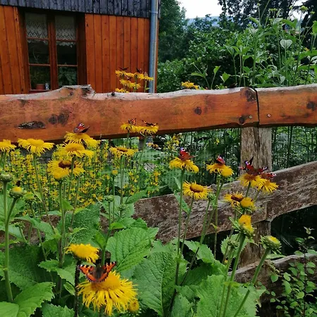 Nostalgia 3* シクラルスカ・ポレンバ