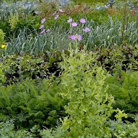 Nostalgia Bed & Breakfast Szklarska Poreba