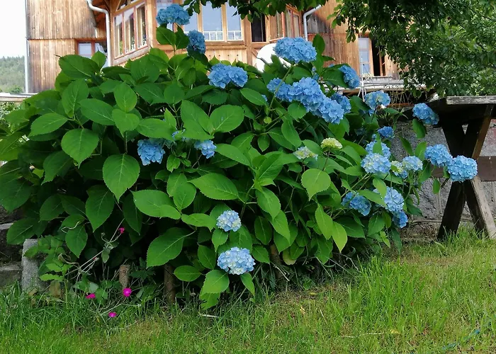 Nocleg ze śniadaniem Nostalgia