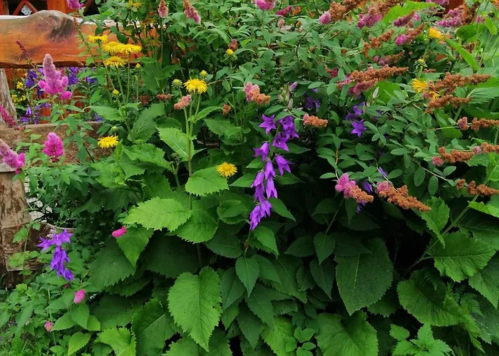 Nostalgia Szklarska Poręba