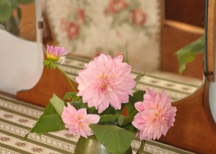 Nocleg ze śniadaniem Nostalgia Szklarska Poręba