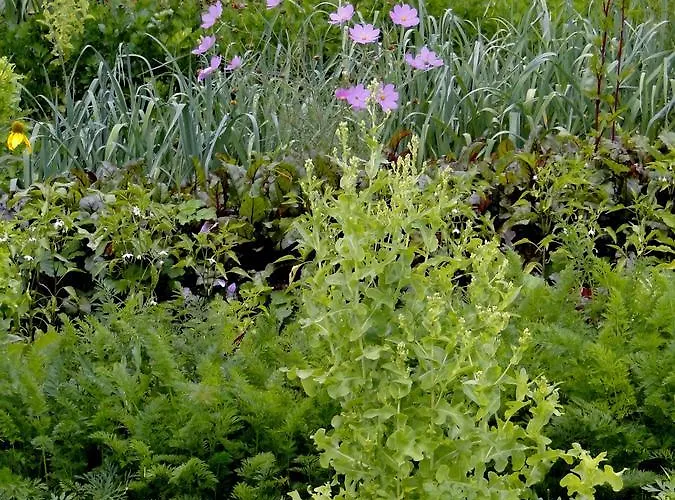 Nostalgia Nocleg ze śniadaniem Szklarska Poręba